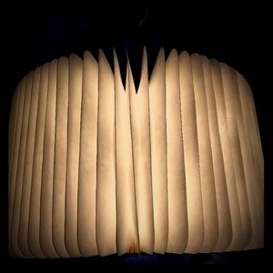 Novelty Book Lamp